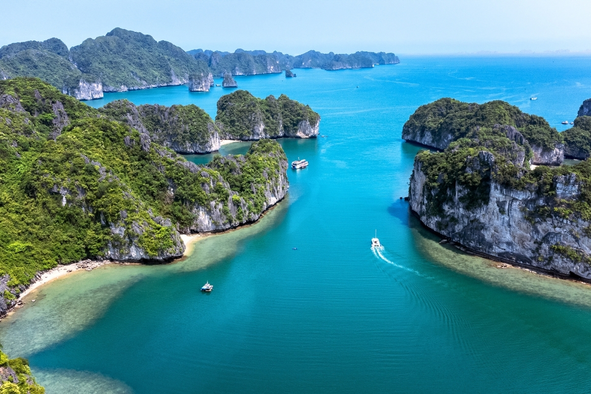 Bodrum Koyları& Tekne Turları