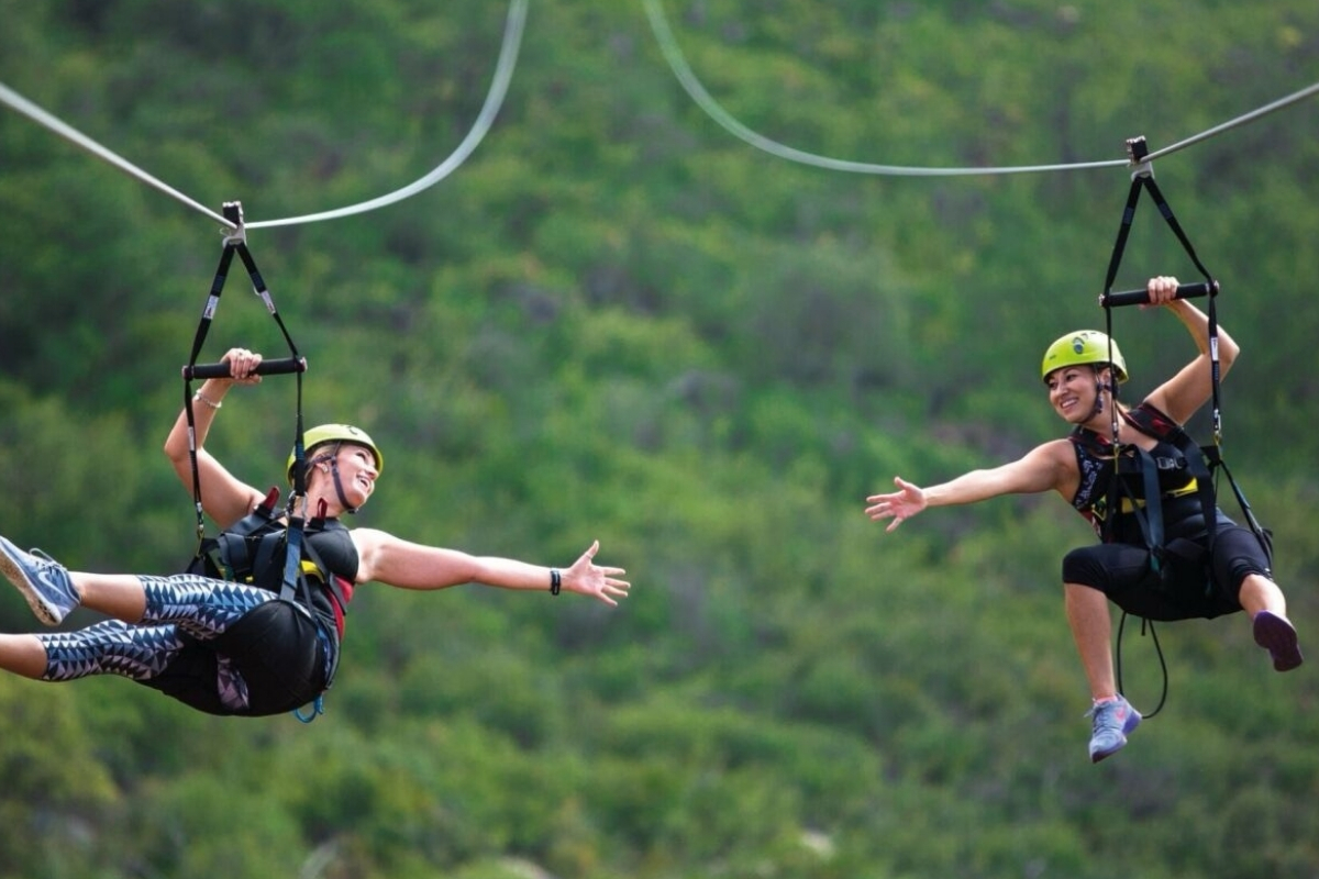 Zipline
