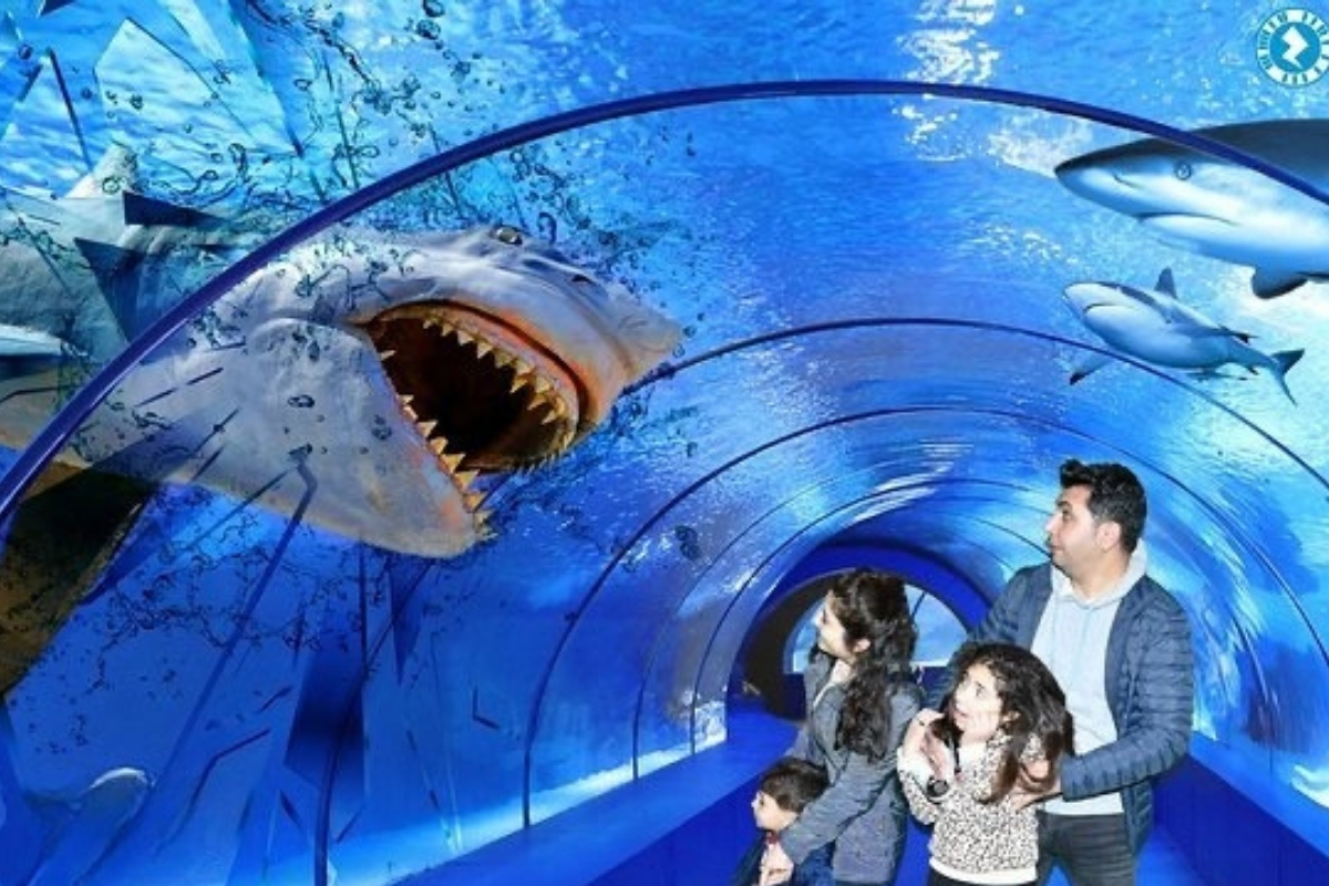 Antalya Aquarium